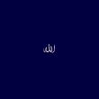 ناجی